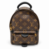 Louis Vuitton Palm Springs Mini – studio view 1