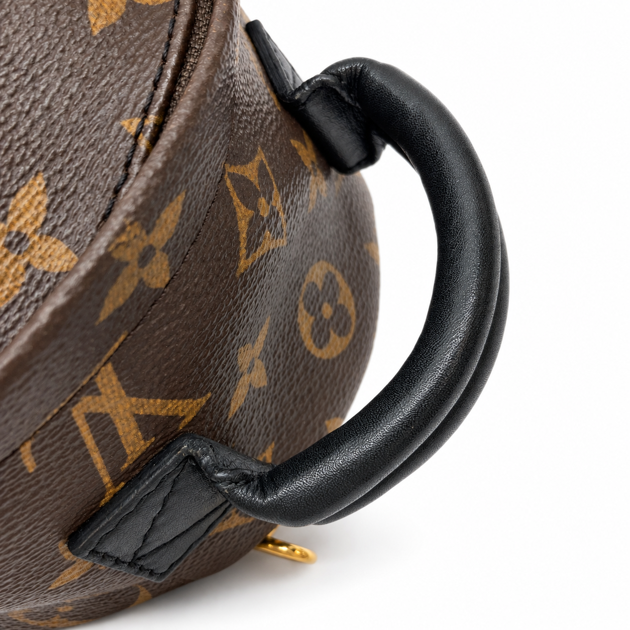 Louis Vuitton Palm Springs Mini – studio view 4
