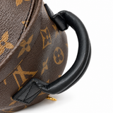 Louis Vuitton Palm Springs Mini – studio view 4